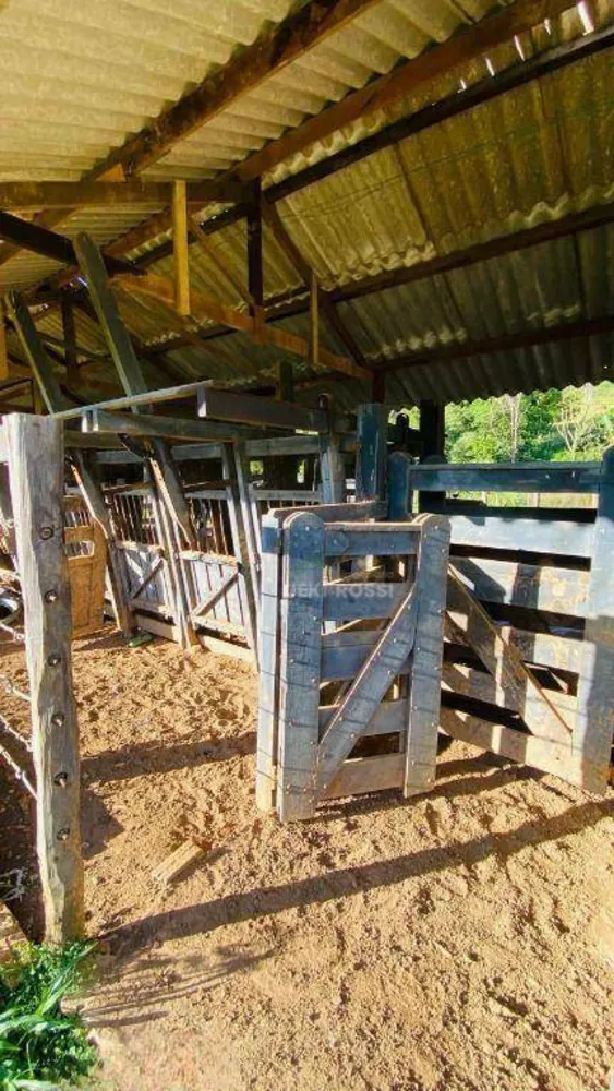 Fazenda, 286 hectares - Foto 6