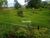Sítio, 12 hectares - Foto 3