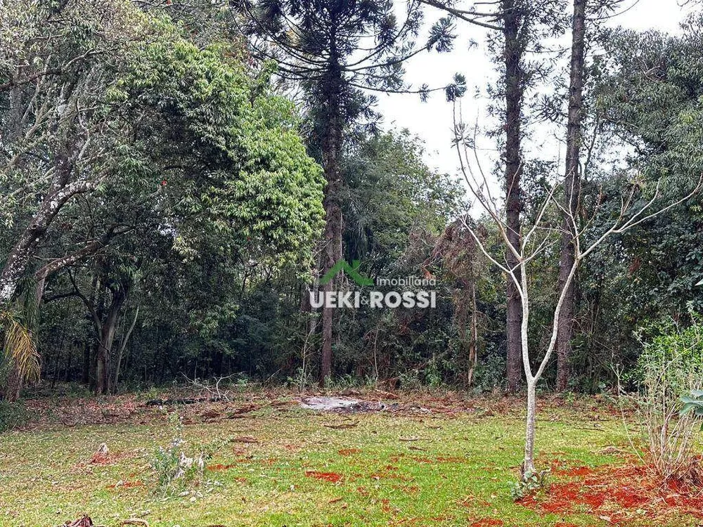 Chácara, 3 quartos, 1 hectares - Foto 8