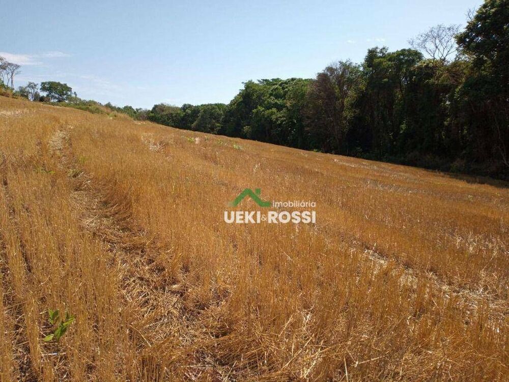 Sítio, 34 hectares - Foto 1