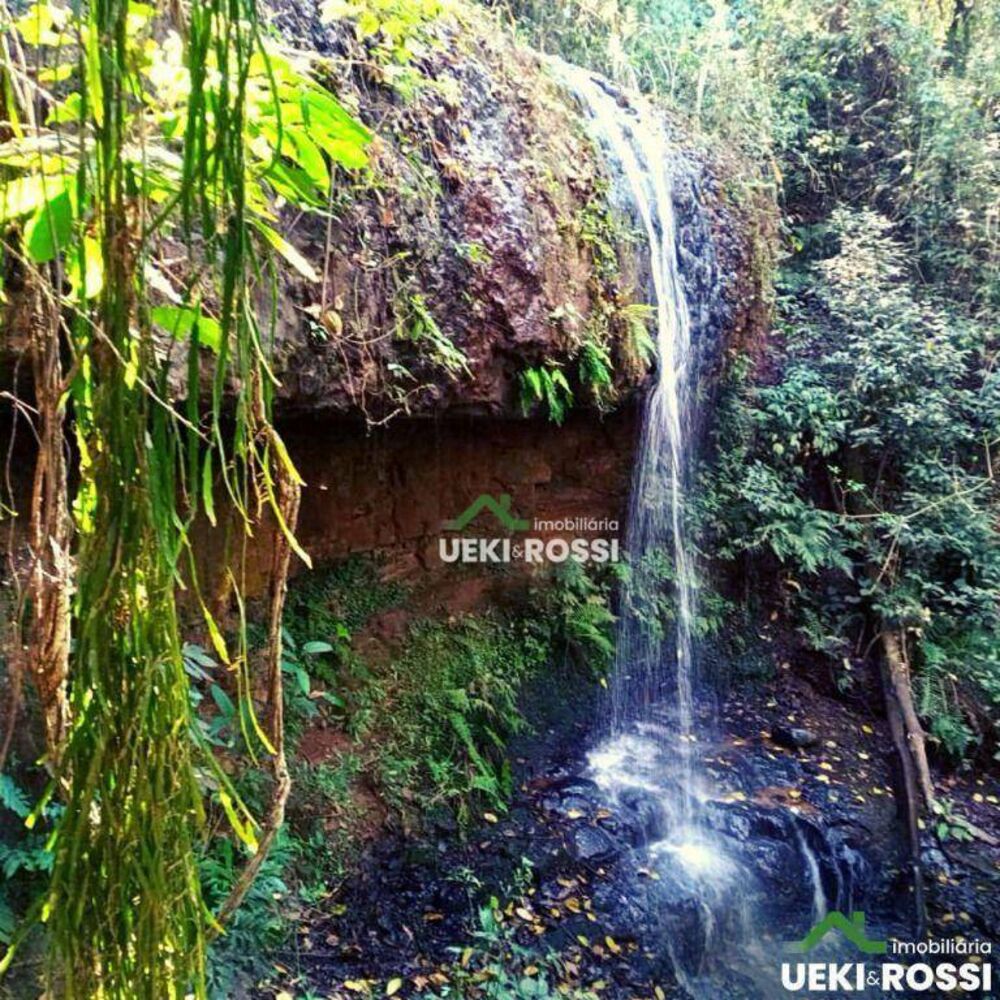 Sítio, 34 hectares - Foto 7