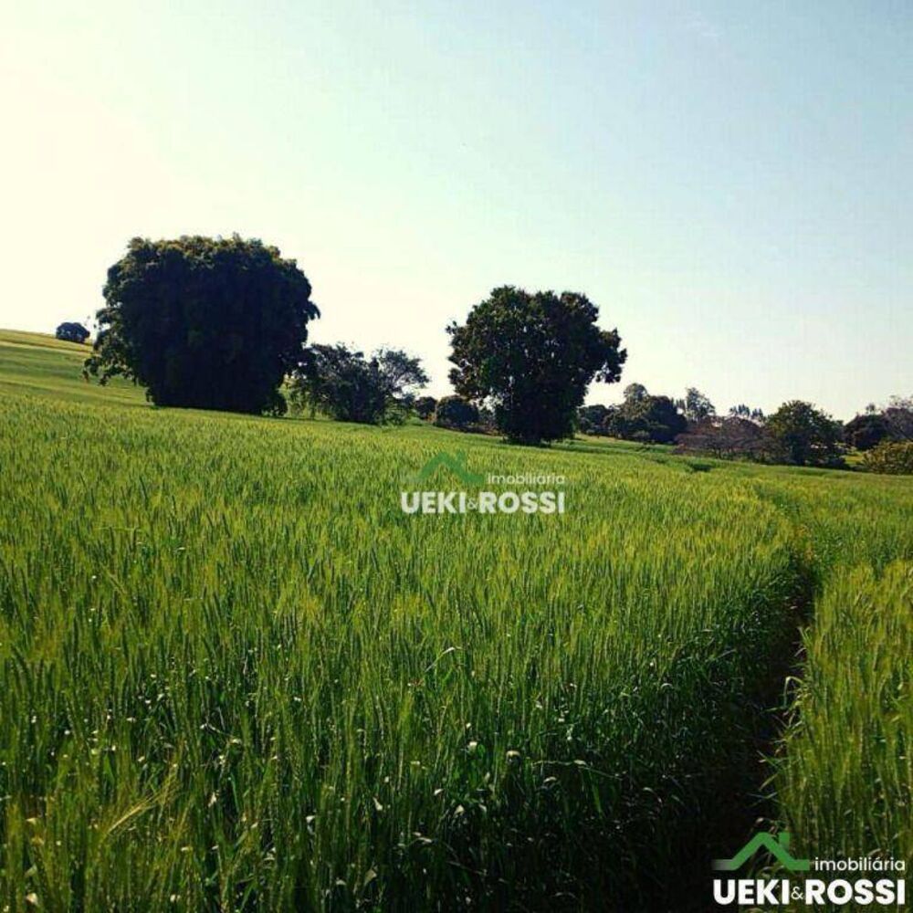 Sítio, 34 hectares - Foto 4