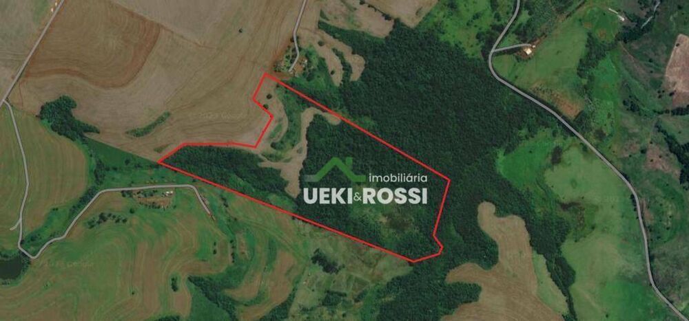 Sítio, 34 hectares - Foto 8