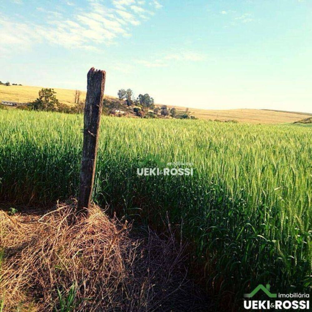 Sítio, 34 hectares - Foto 3