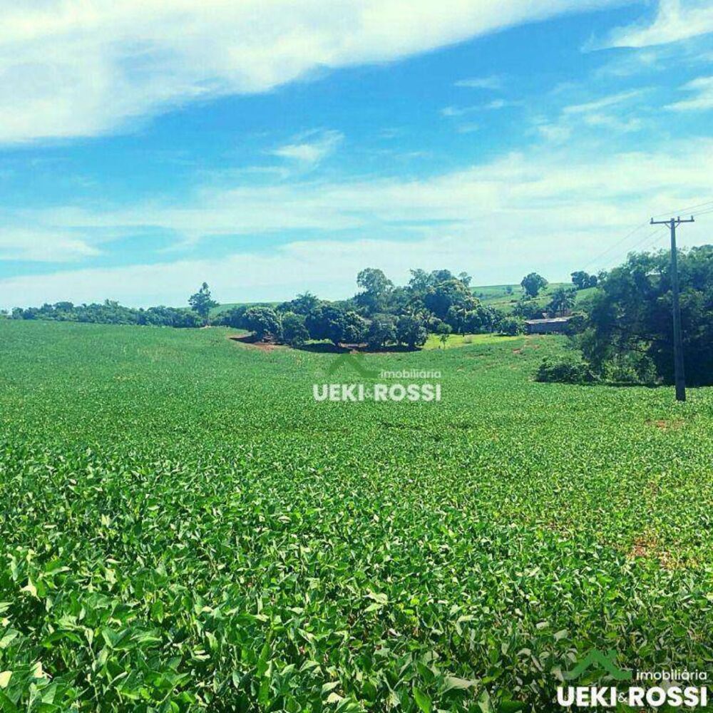 Sítio, 34 hectares - Foto 2