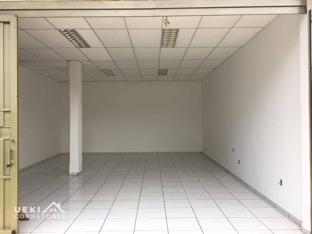 Casa, 3 quartos, 300 m² - Foto 8