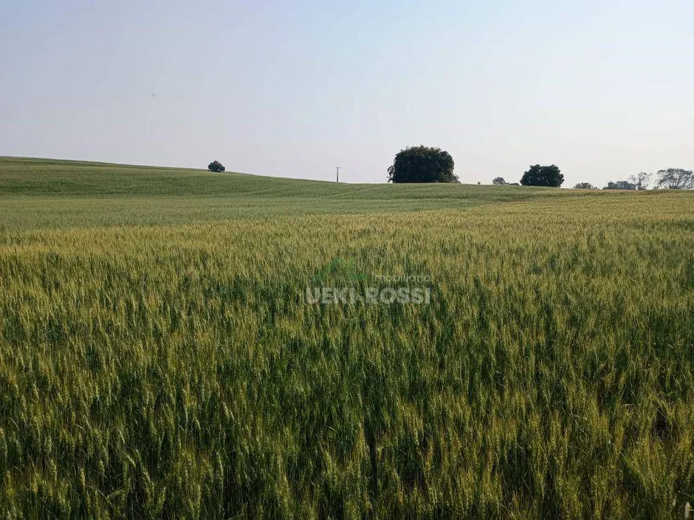 Fazenda, 46 hectares - Foto 1
