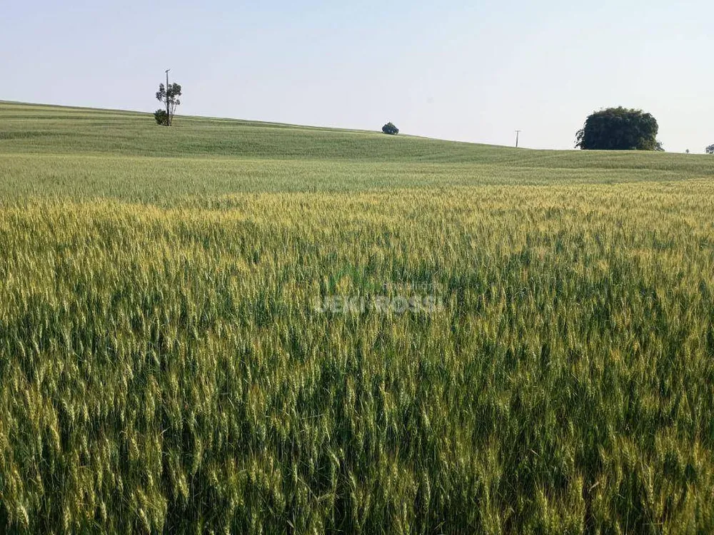 Fazenda, 46 hectares - Foto 2