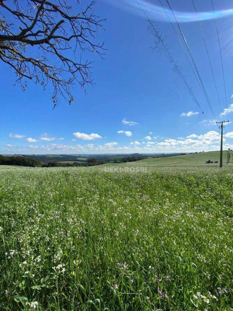 Fazenda, 48 hectares - Foto 11