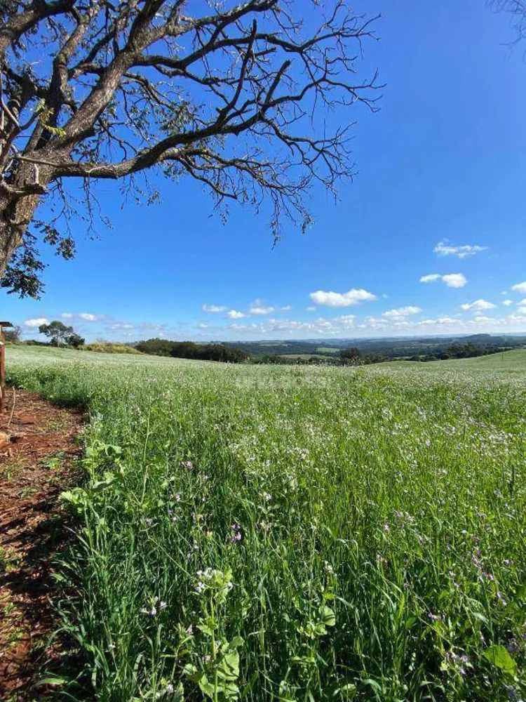 Fazenda, 48 hectares - Foto 2