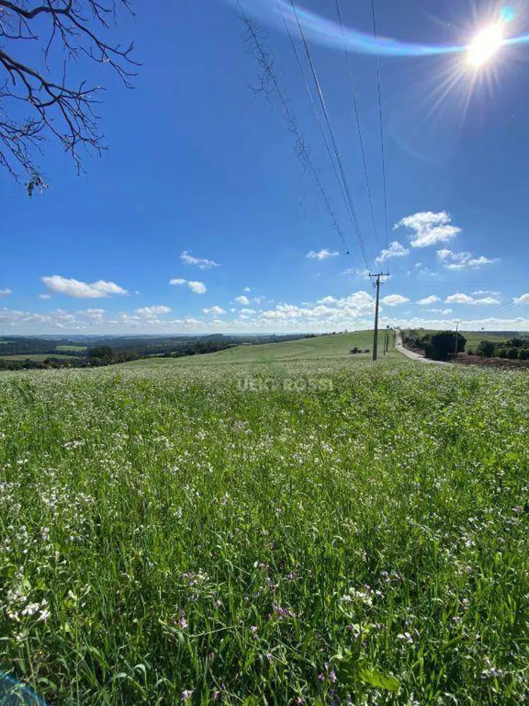 Fazenda, 48 hectares - Foto 8
