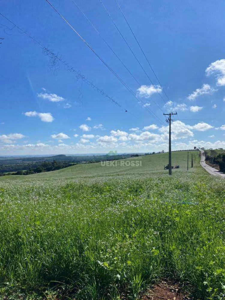 Fazenda, 48 hectares - Foto 13