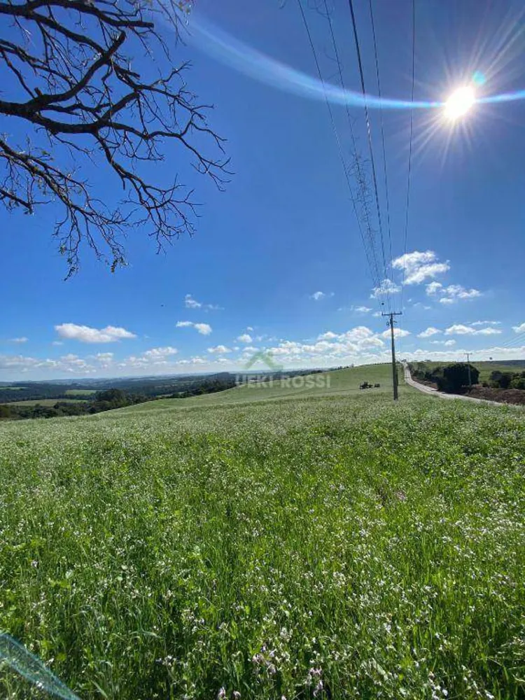 Fazenda, 48 hectares - Foto 14