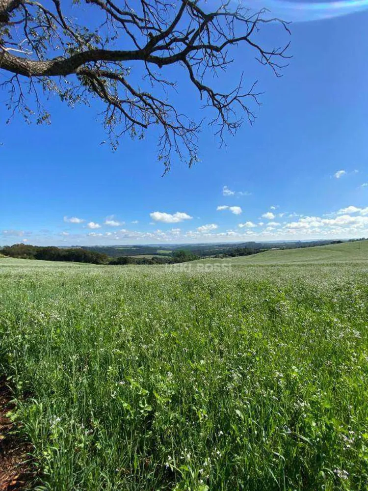 Fazenda, 48 hectares - Foto 10
