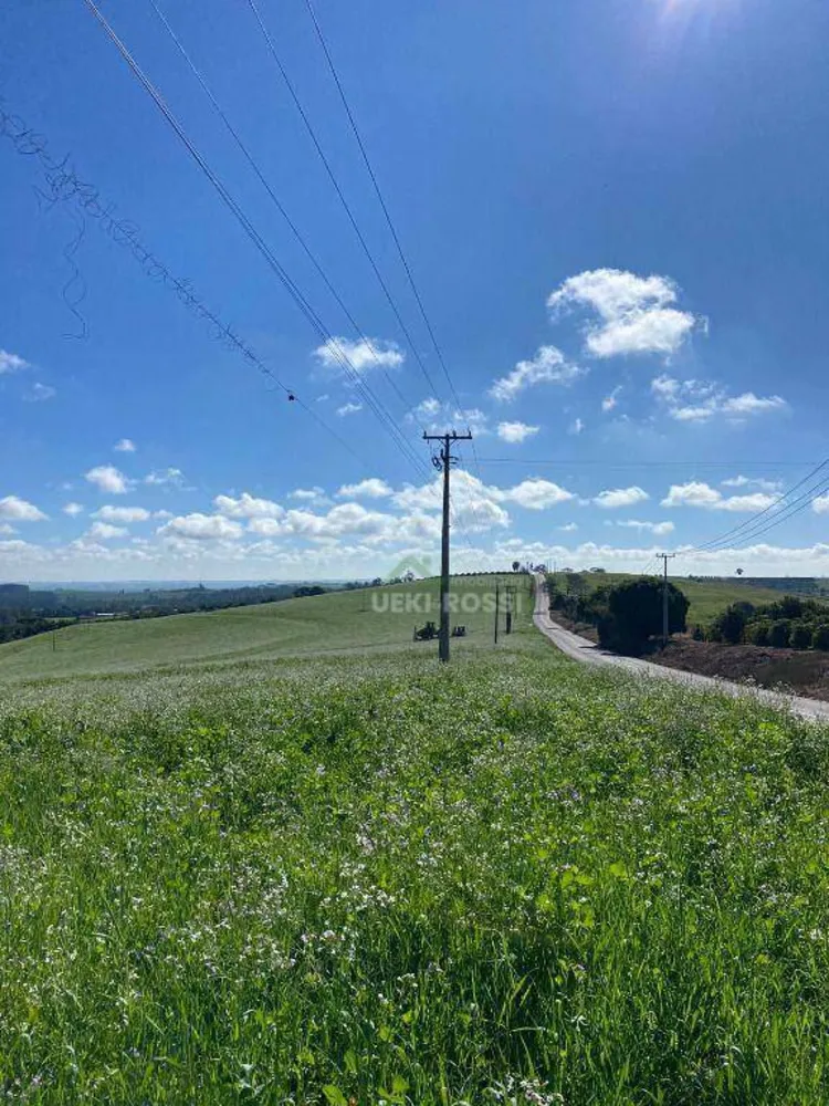 Fazenda, 48 hectares - Foto 12