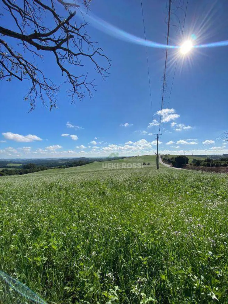 Fazenda, 48 hectares - Foto 9