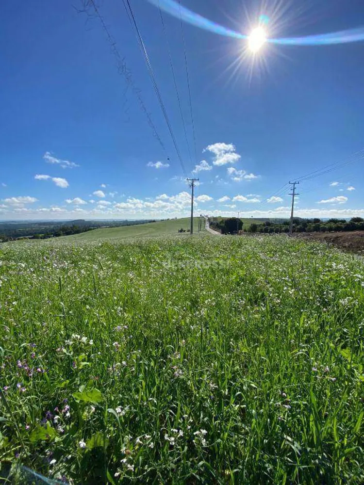 Fazenda, 48 hectares - Foto 6