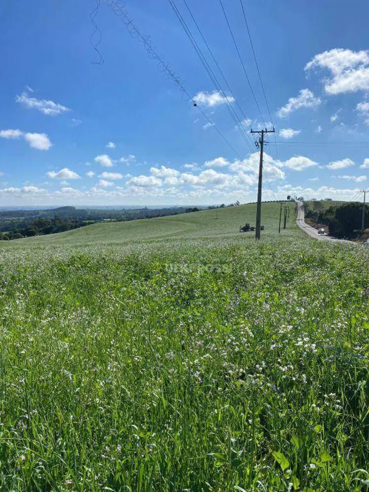 Fazenda, 48 hectares - Foto 3