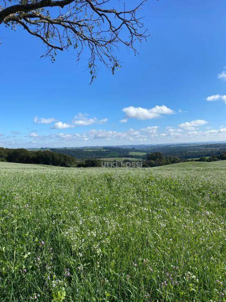 Fazenda, 48 hectares - Foto 7