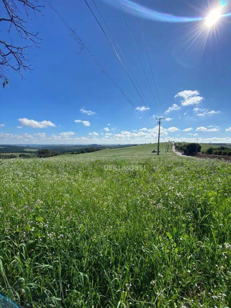 Fazenda, 48 hectares - Foto 4