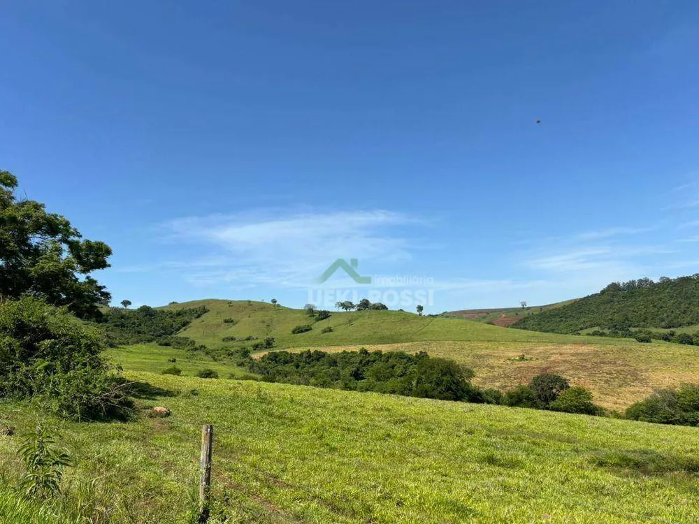 Fazenda, 581 hectares - Foto 12