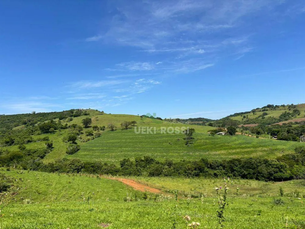Fazenda, 581 hectares - Foto 13