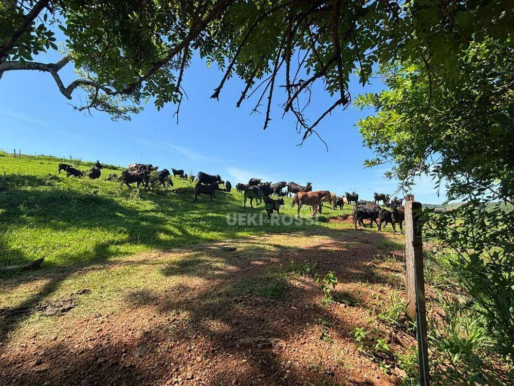 Fazenda, 581 hectares - Foto 5