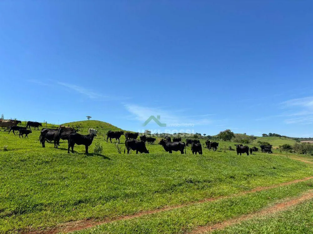 Fazenda, 581 hectares - Foto 8