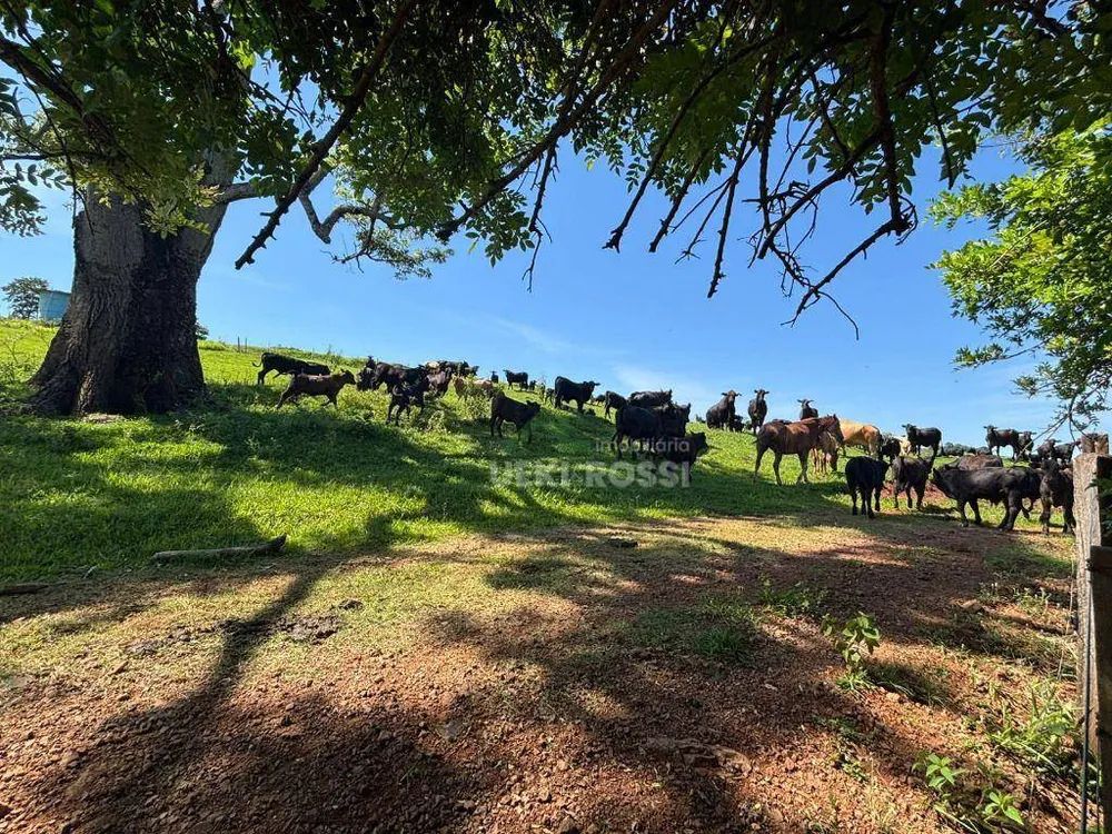 Fazenda, 581 hectares - Foto 6