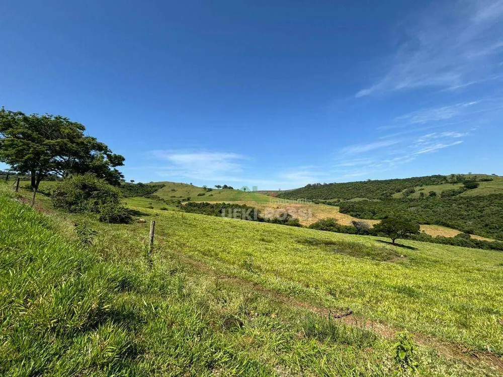 Fazenda, 581 hectares - Foto 11