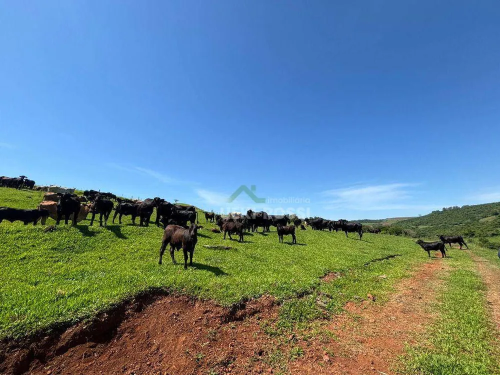 Fazenda, 581 hectares - Foto 7