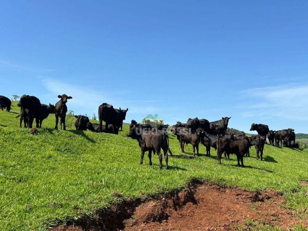 Fazenda, 581 hectares - Foto 9