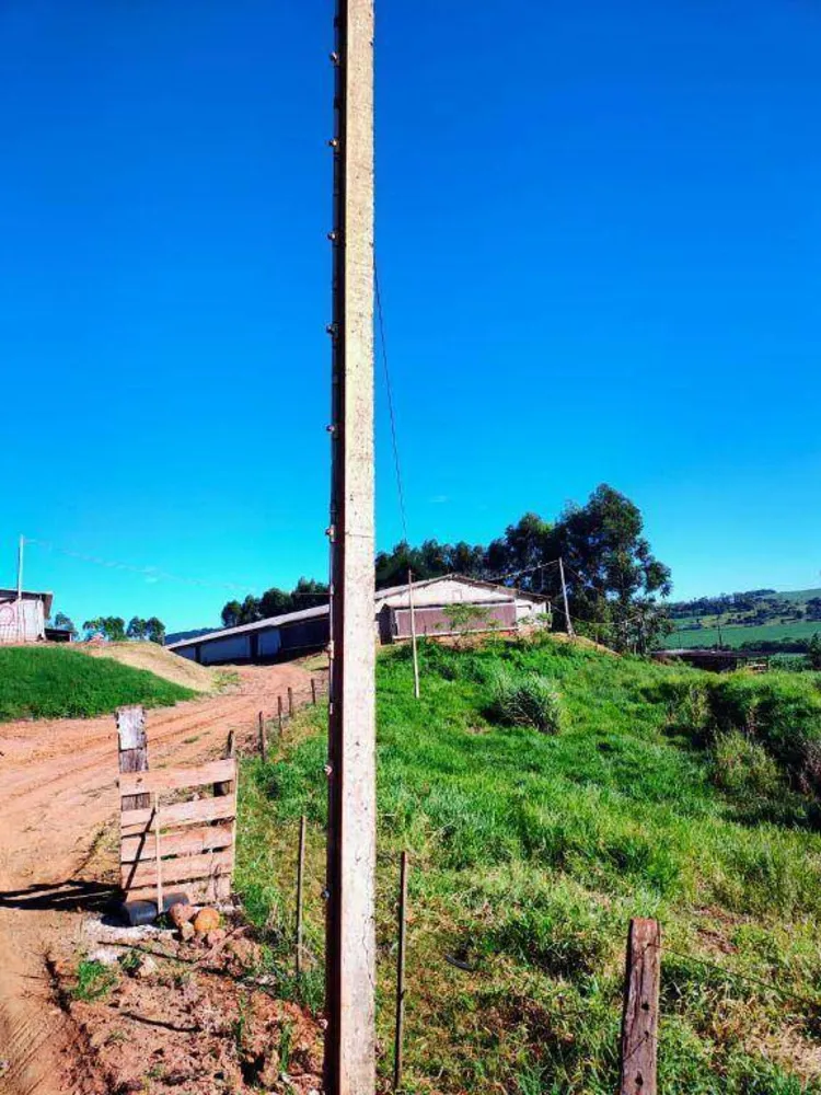Sítio, 14 hectares - Foto 9