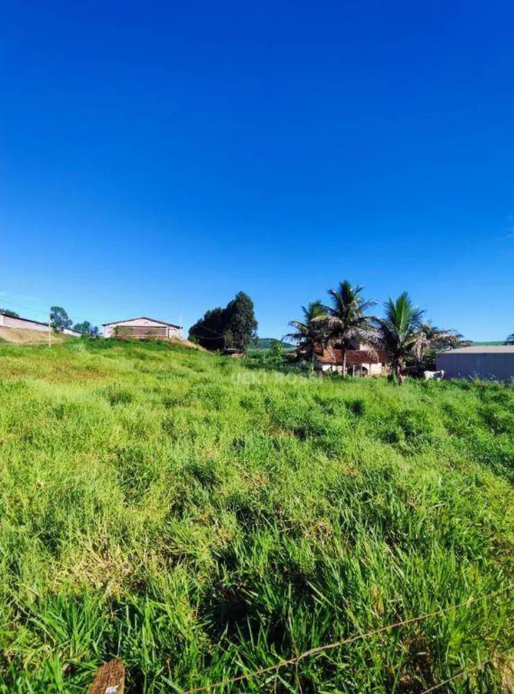 Sítio, 14 hectares - Foto 10