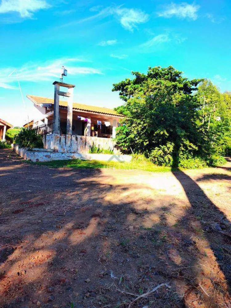 Sítio, 14 hectares - Foto 13