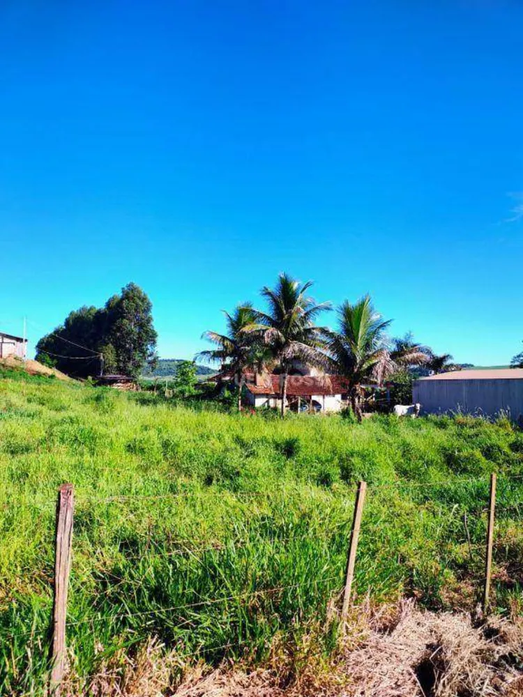 Sítio, 14 hectares - Foto 11