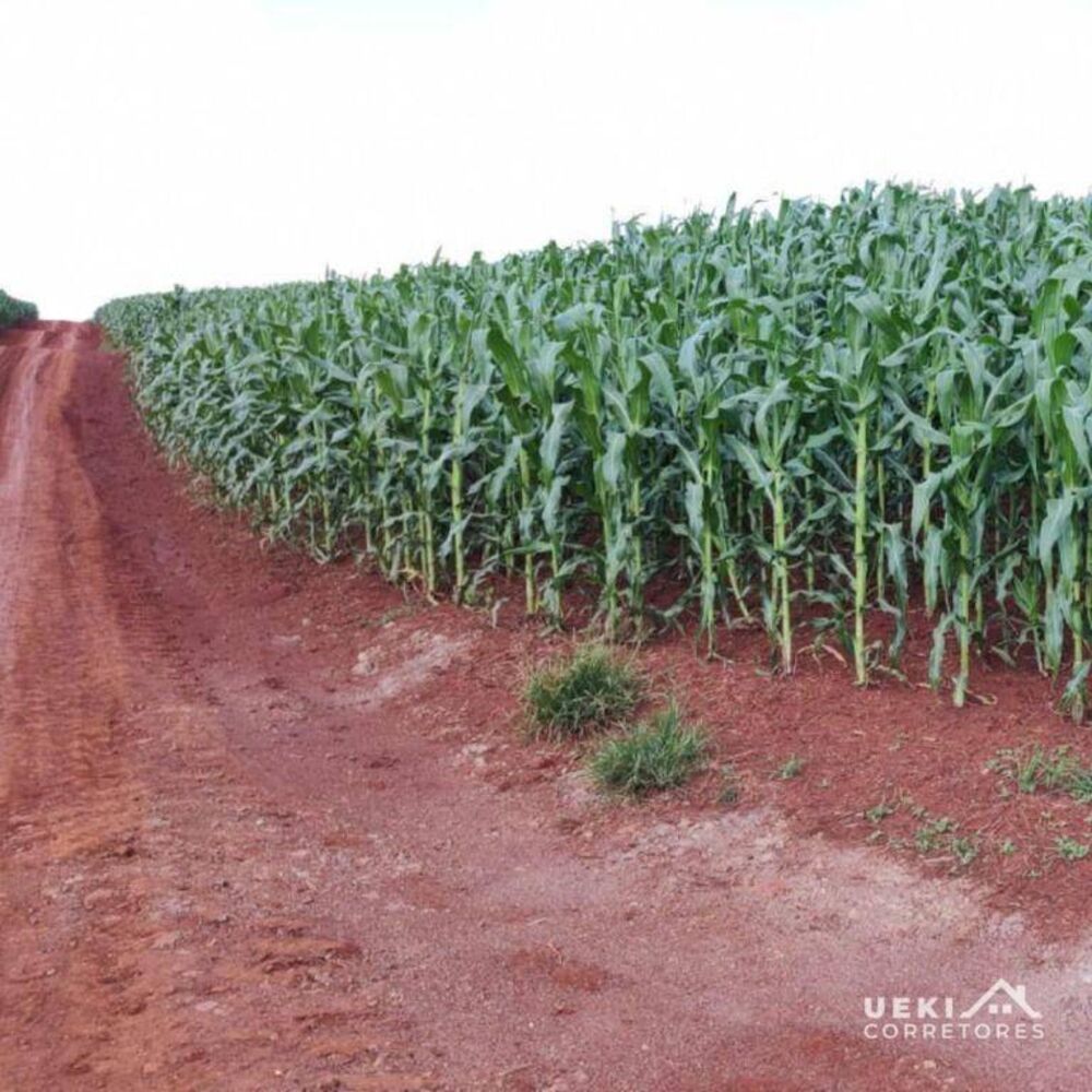 Fazenda à venda, 1035759M2 - Foto 1