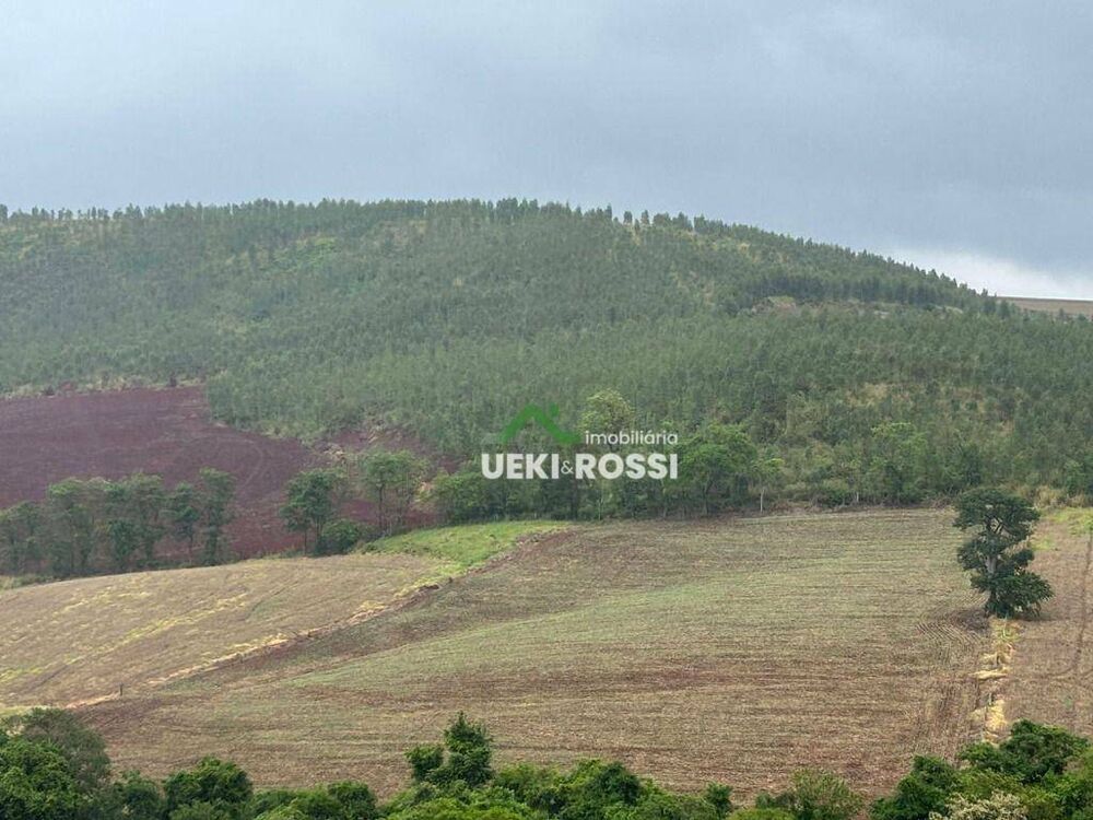 Chácara, 2 hectares - Foto 4