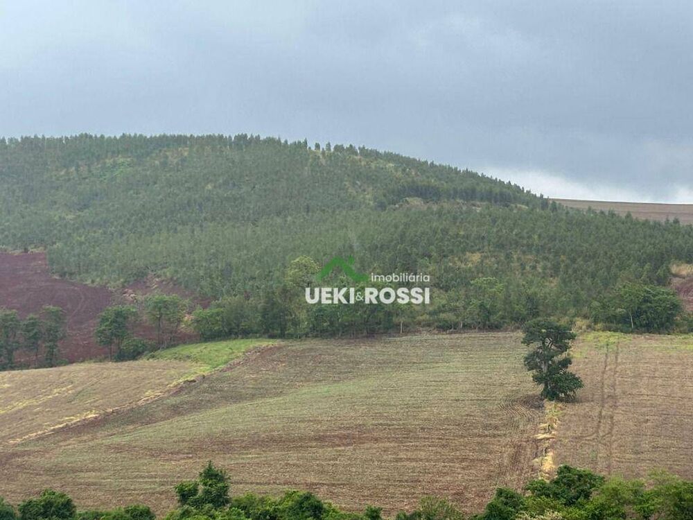 Chácara, 2 hectares - Foto 2