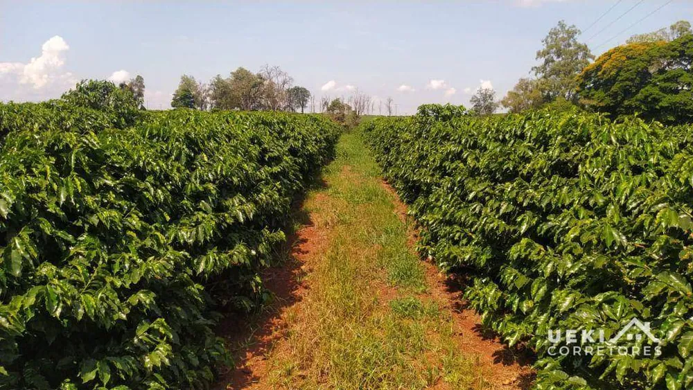 Fazenda, 242 hectares - Foto 6