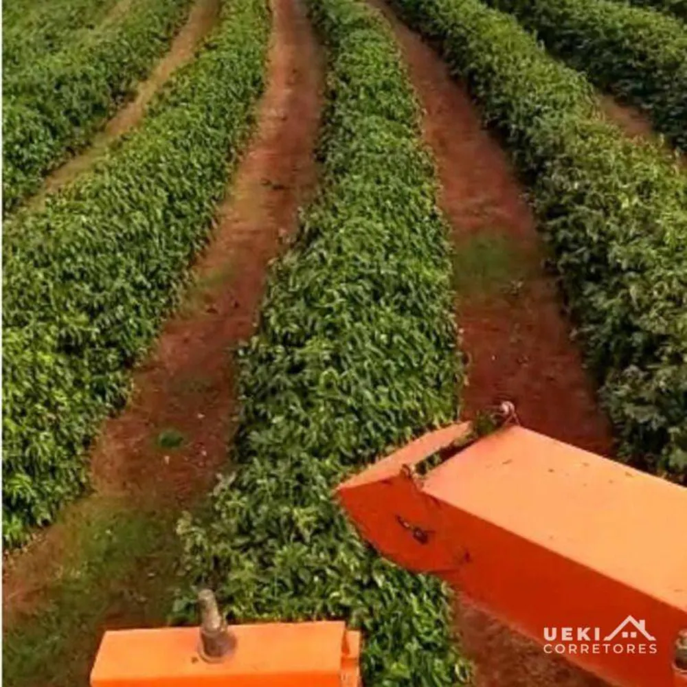 Fazenda, 242 hectares - Foto 3