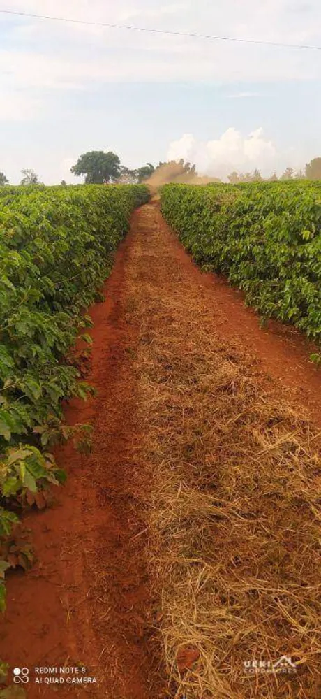 Fazenda, 242 hectares - Foto 7