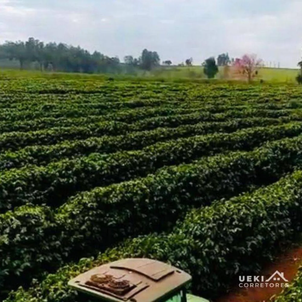 Fazenda, 242 hectares - Foto 1