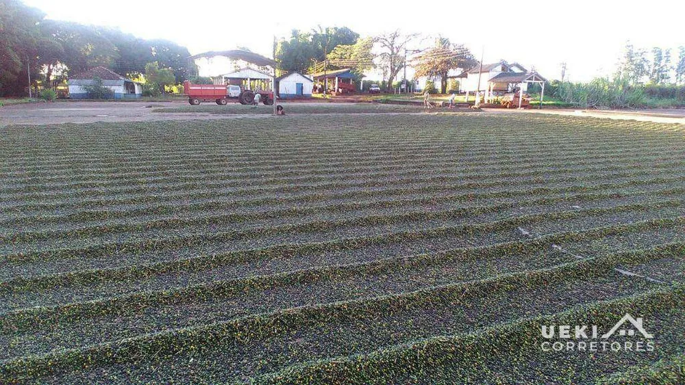 Fazenda, 242 hectares - Foto 9