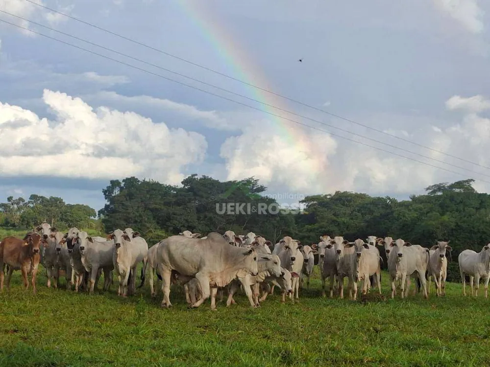 Fazenda, 536 hectares - Foto 1