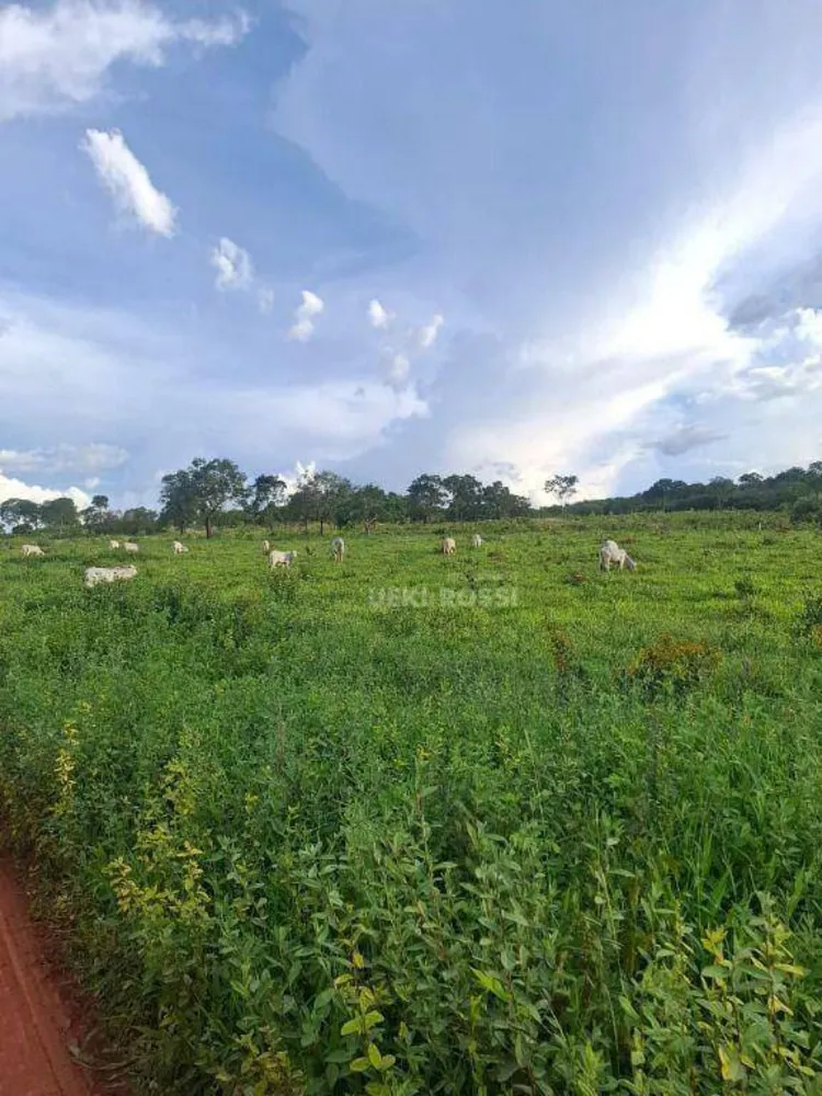 Fazenda, 536 hectares - Foto 12