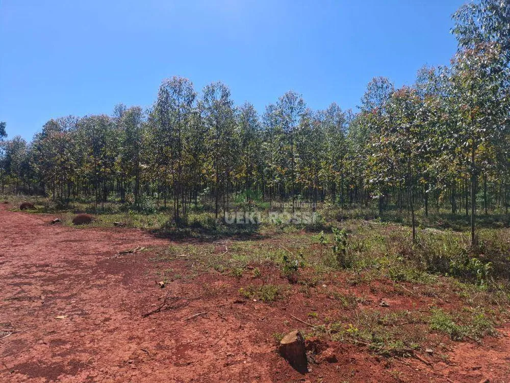 Fazenda, 536 hectares - Foto 14