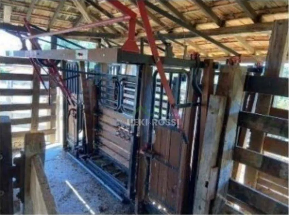 Fazenda, 536 hectares - Foto 7