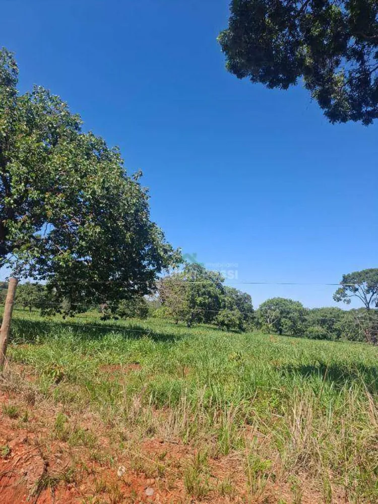 Fazenda, 536 hectares - Foto 11