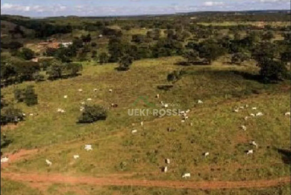 Fazenda, 536 hectares - Foto 6